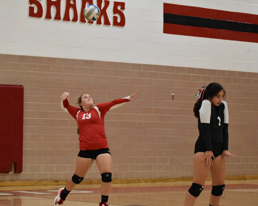 Girl serves volleyball