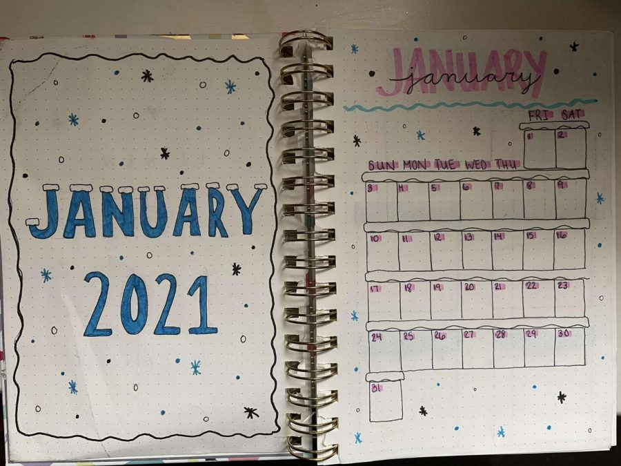 Alexandra+Pawlitz++starts+her+year+off+right+with+her+bullet+journal%21+