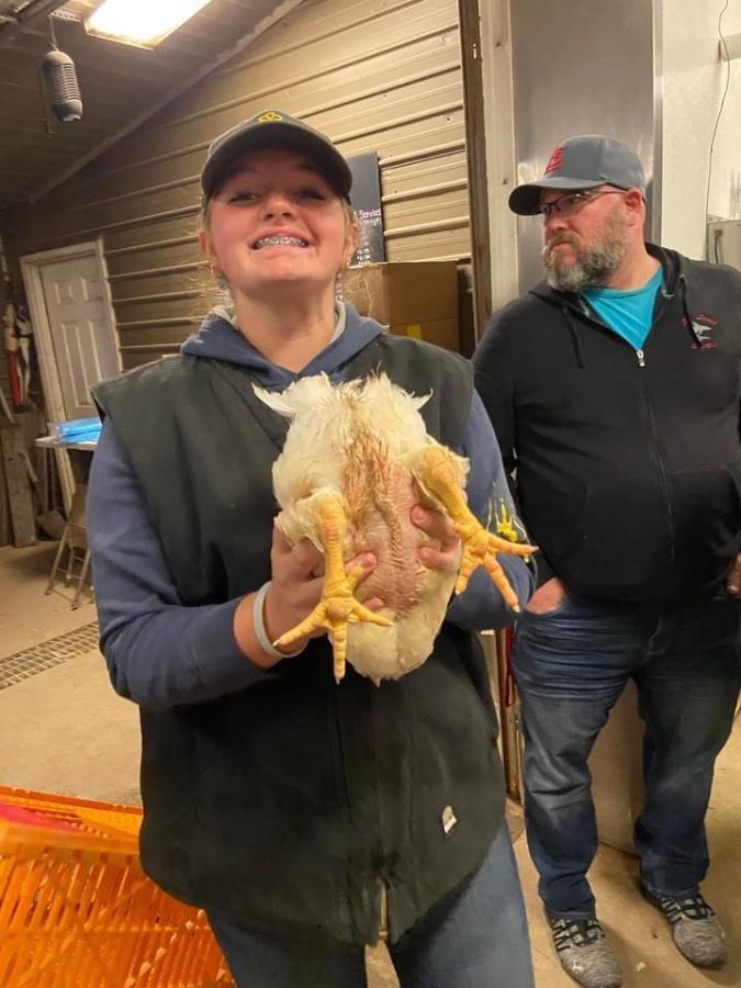 Tekoha Henry handles one of her top five chickens as she prepares for the competition.  