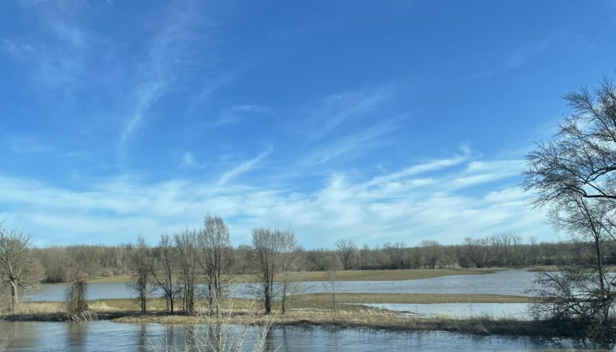 A field close to the Pine River was hit by the flood due to the crazy weather. 