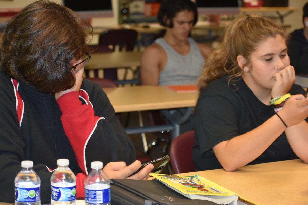 Students are too busy on their phones to do their assignments these days! (Note: Mrs. Reeves does not approve of cell phone usage in her classes and would like to note that these photos were staged.)