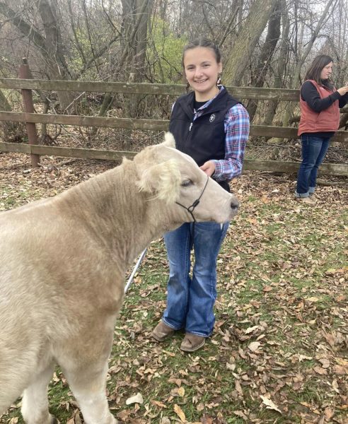 Senior Madyson Hartman poses with one of her show cattle.