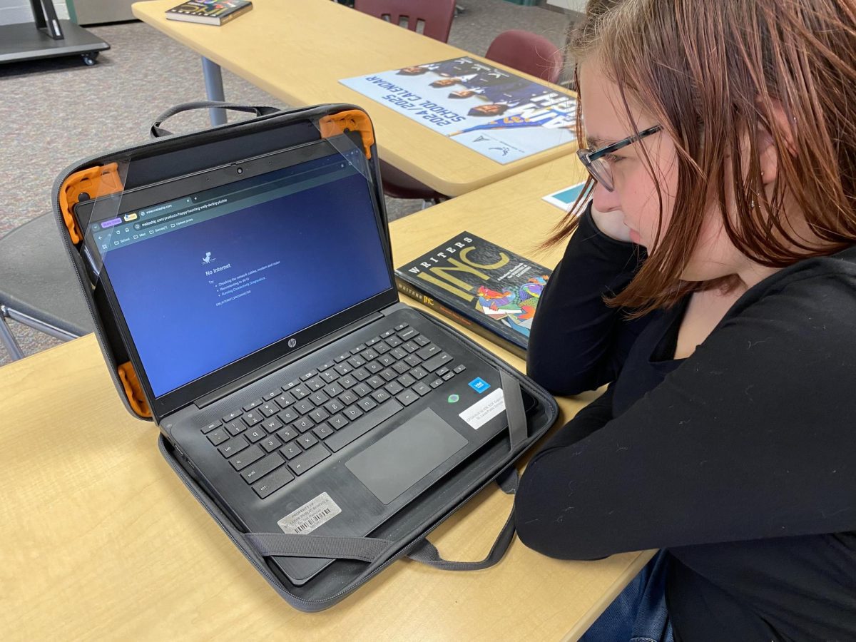 Senior Kailee Reese angrily tries to log onto her Chromebook.