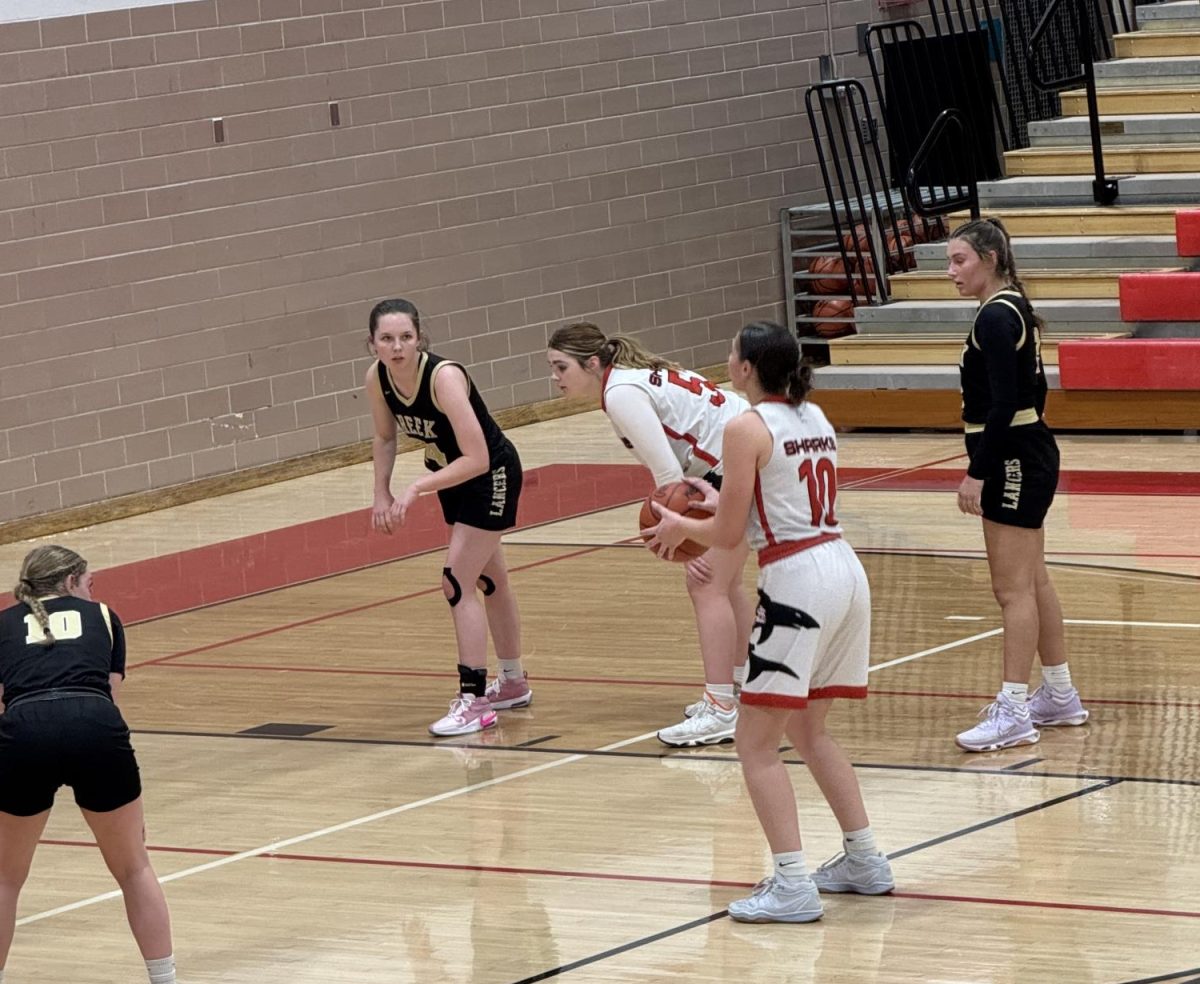 Sophomore Paige Luneack concentrates as she prepares to shoot a free throw.