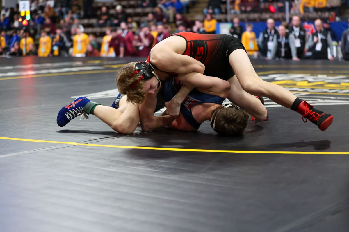 Junior Owen Fogel wrestles tirelessly against his opponent. 