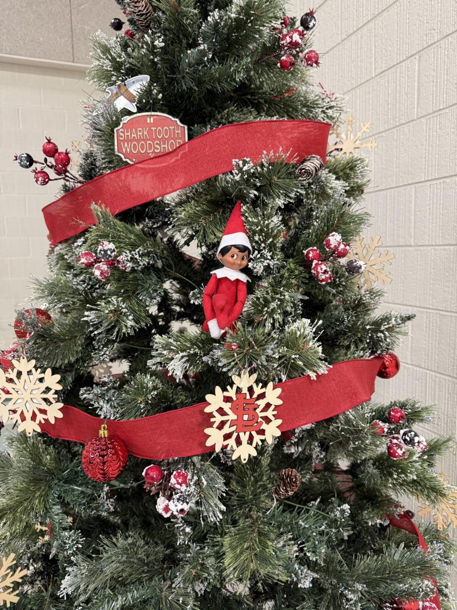 Elffish gets himself comfortable in the tree!